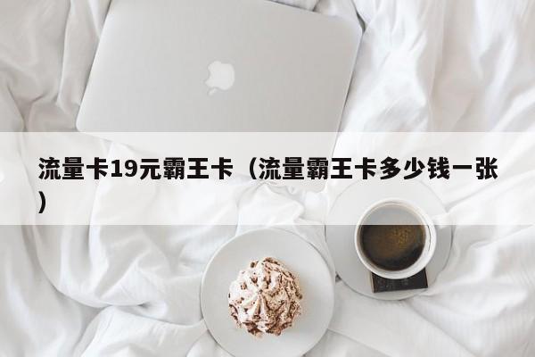 流量卡19元霸王卡(流量霸王卡多少钱一张)