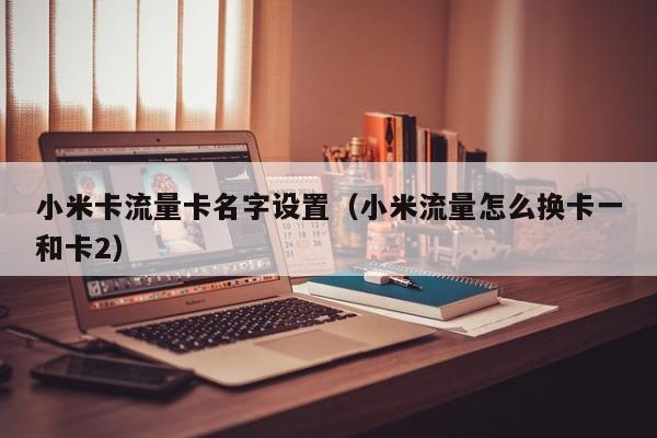 小米卡流量卡名字设置(小米流量怎么换卡一和卡2)