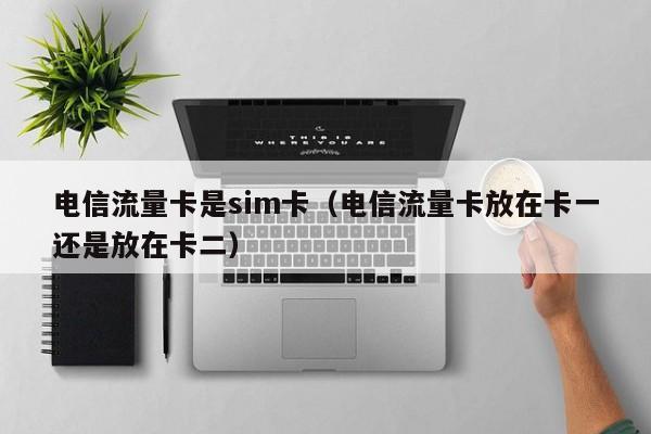 电信流量卡是sim卡（电信流量卡放在卡一还是放在卡二）
