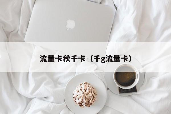 流量卡秋千卡(千g流量卡)