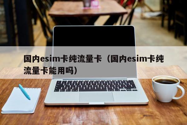 国内esim卡纯流量卡(国内esim卡纯流量卡能用吗)