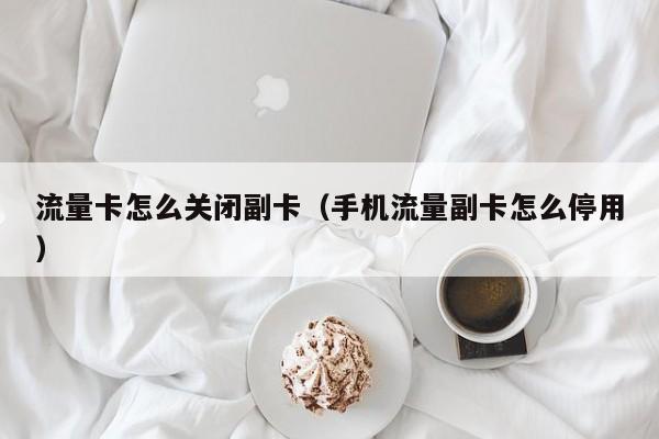 流量卡怎么关闭副卡(手机流量副卡怎么停用)