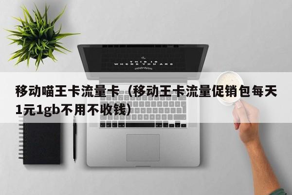 移动喵王卡流量卡(移动王卡流量促销包每天1元1gb不用不收钱)