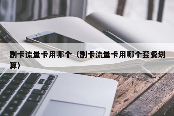 副卡流量卡用哪个(副卡流量卡用哪个套餐划算)