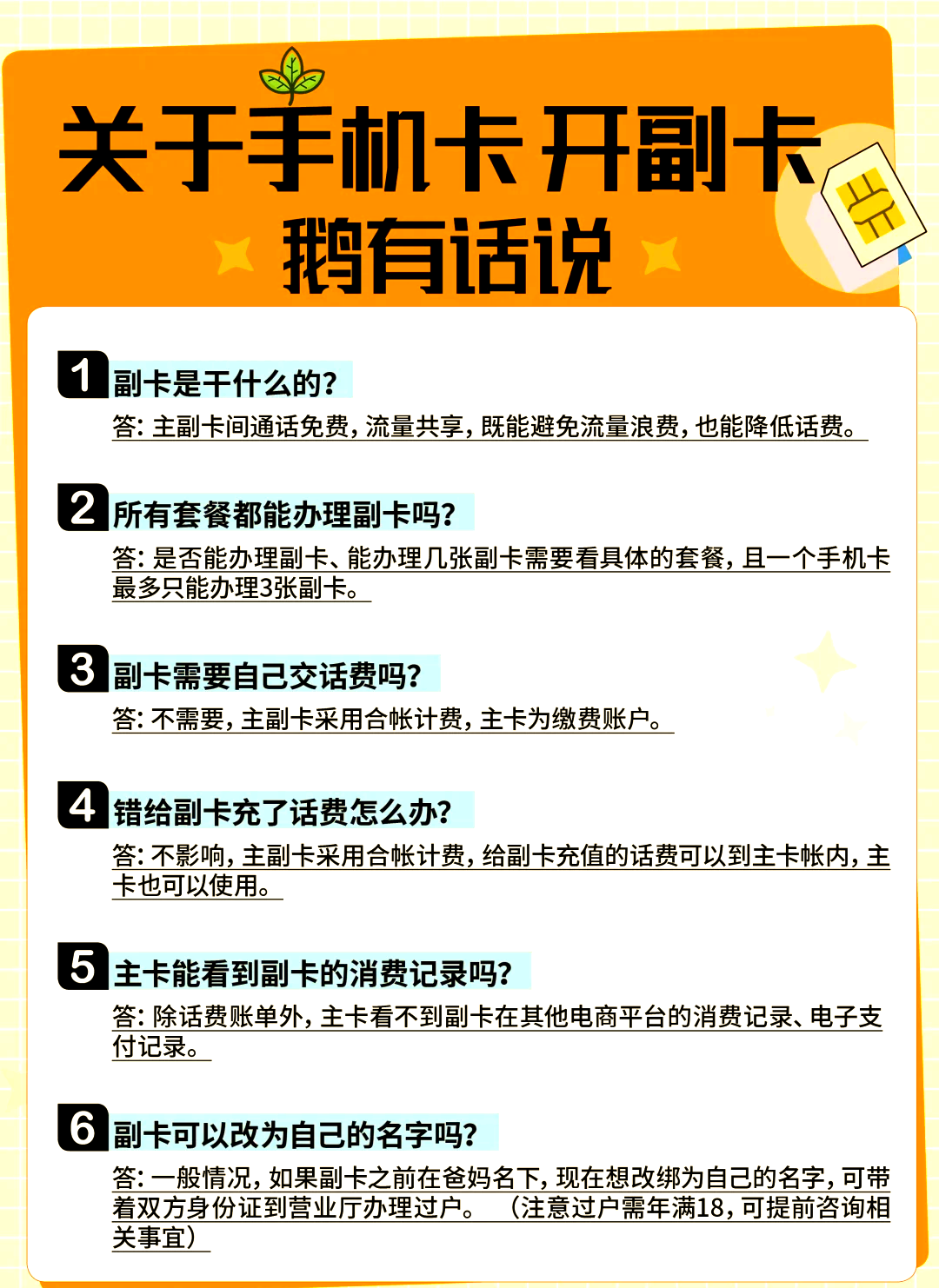 副号卡的使用记录能查询吗？(手机副卡是不是可以查记录)