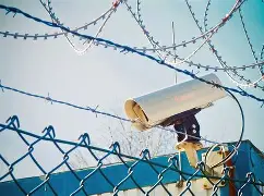 关于电销卡高频防封的企业定制的最低起订量是多少？的信息